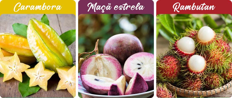 Carambora, maçã estrela, rambutan