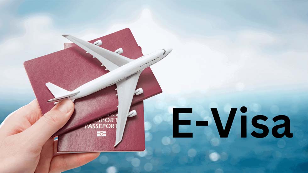 E-visa