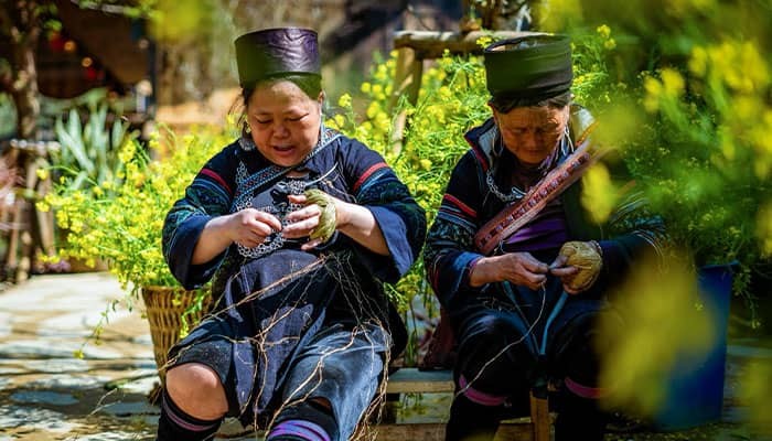 povo Vietnamita