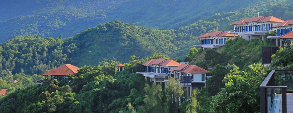 Banyan Tree Lang Co