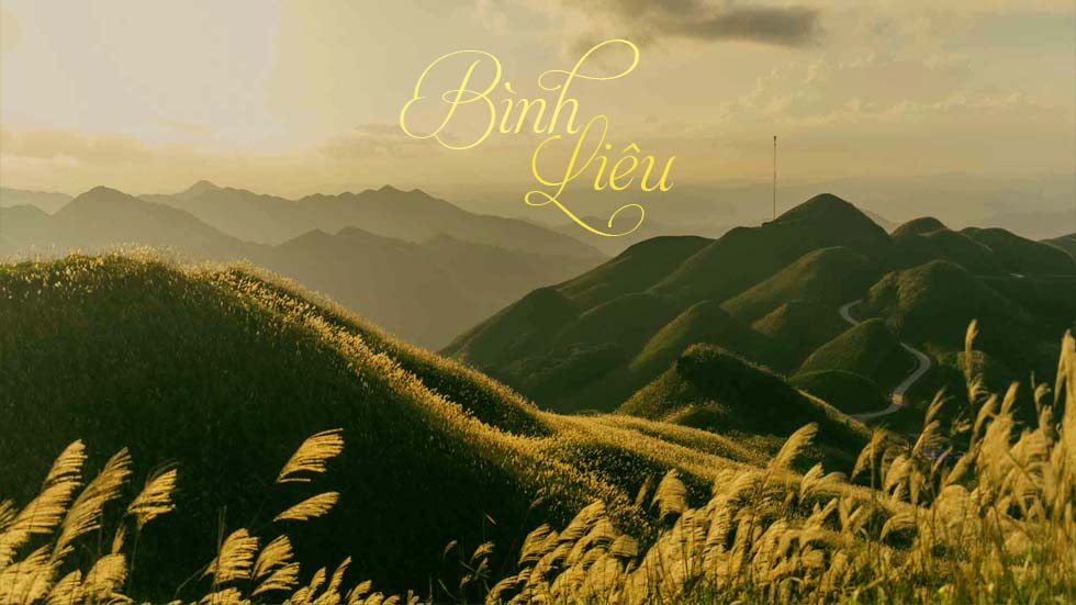 Binh Lieu
