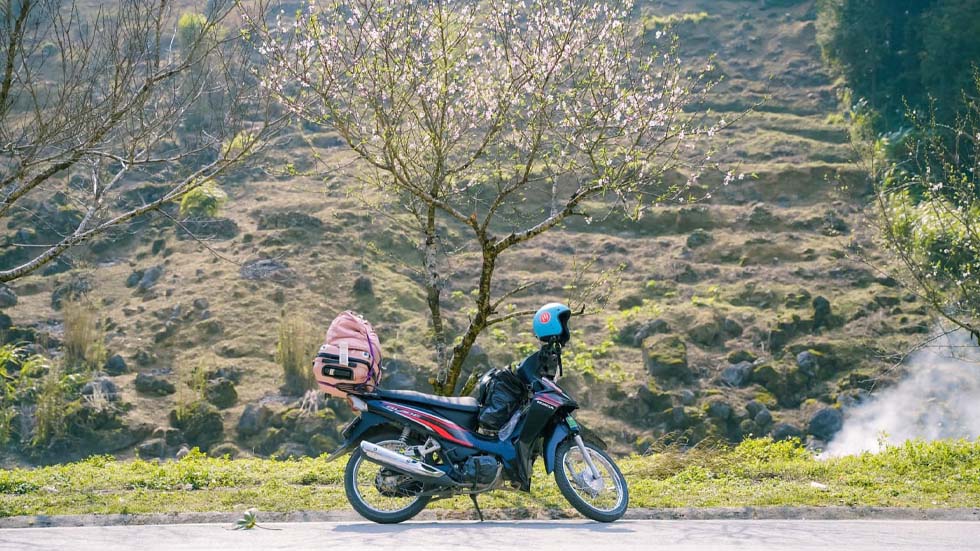Ha giang